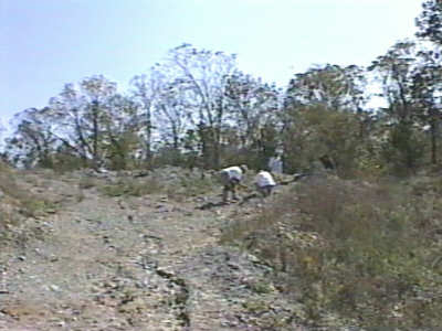 mo86.jpg