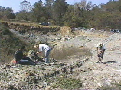 mo87.jpg
