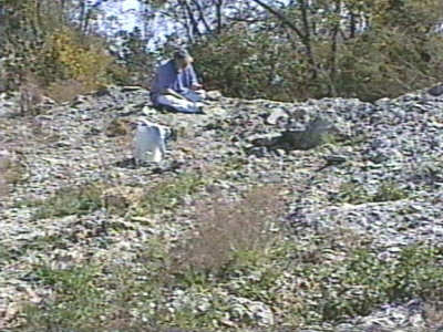 mo91.jpg