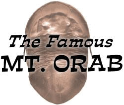 The Famous Mt. Orab Trilobite Farm, Ohio