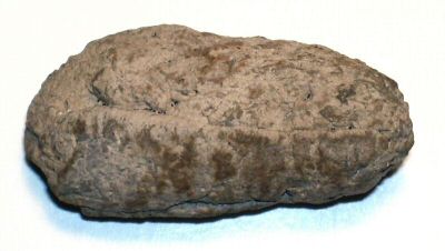 possible_coprolite_01.jpg