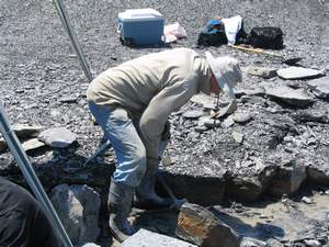 Don Bissett Removing First Blocks.jpg