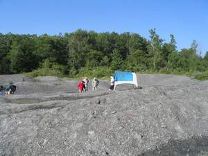 More Dry Dredgers Arrive.jpg