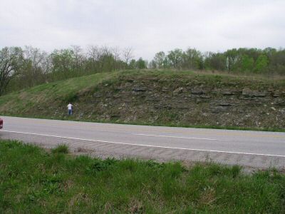 P1013389.JPG