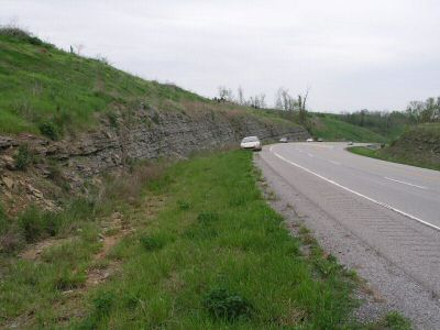 P1013392.JPG