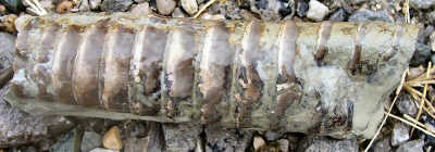 PA234889.JPG