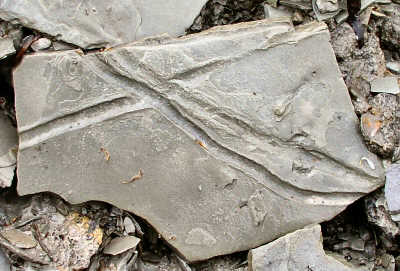 PA234926.JPG
