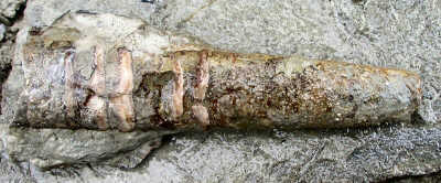 PA234934.JPG