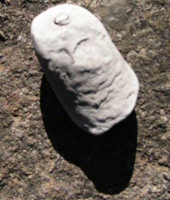 PA245077.JPG