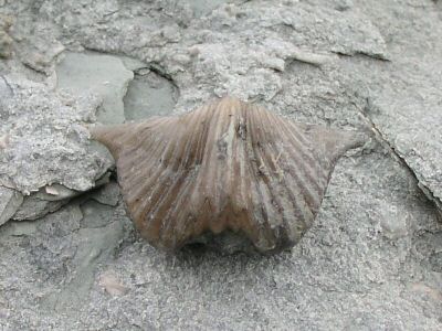P1010004.JPG