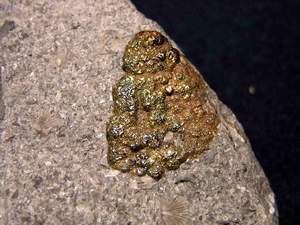 2.5cm Pyrite concretion.jpg