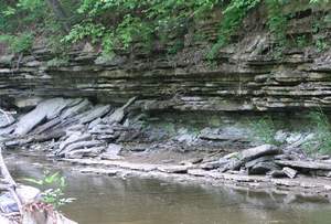 P1010198.jpg