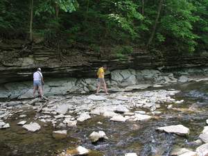 P1010200.jpg