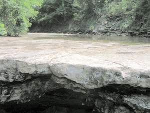 P1010233.jpg