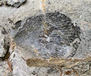 P1010255.jpg