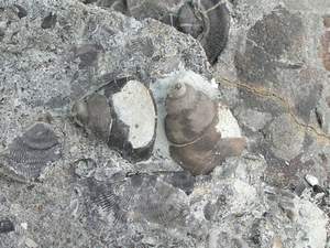 P1010263.jpg
