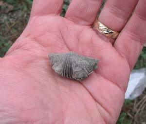P1010005.jpg