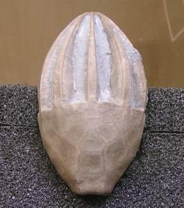 P1010010.jpg