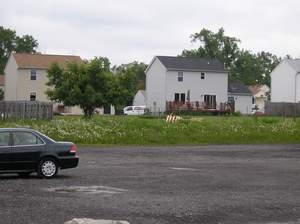 P1010045.jpg