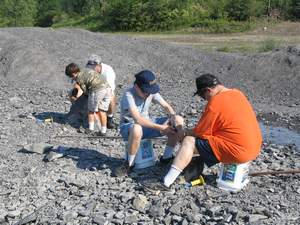 Fathers & Sons Trilobiting.jpg