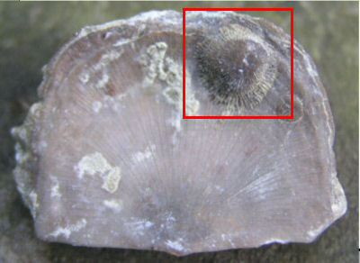 typea_be_sp1_pic2_v1.jpg