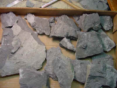 boxofgoodies1.jpg (54758 bytes)