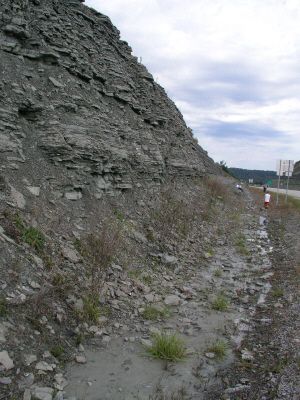 P1011264.jpg
