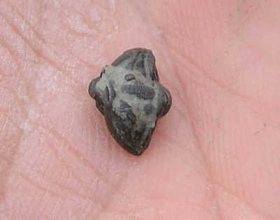 PA234849.JPG