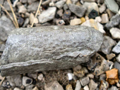 PA234911.JPG