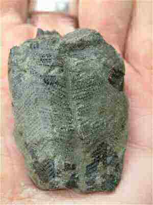 conularia1.jpg