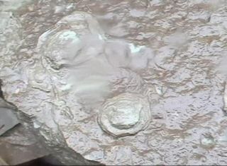 Image33.jpg