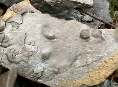 Image36.jpg