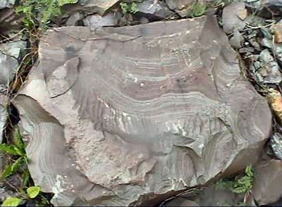 Image46.jpg