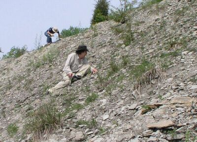P1010005.JPG