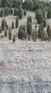 P1010073.jpg