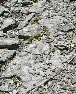 P1010097.jpg