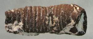 side2.jpg