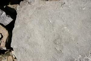 IMGP1104.jpg