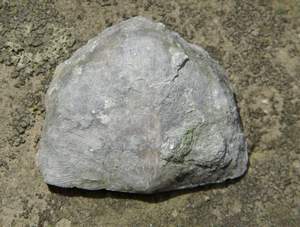 Picture 69