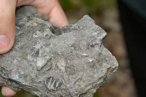 Picture 26