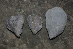 Picture 83