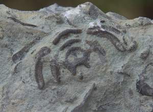 IMGP2931.jpg