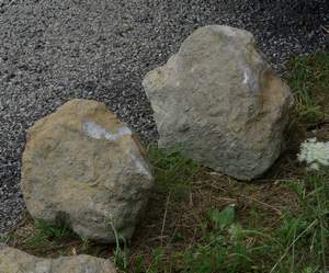 IMGP2948.jpg