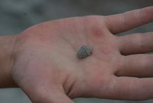 IMGP3119.jpg