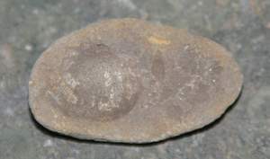 IMGP3169.jpg