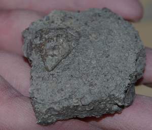 IMGP4089.jpg