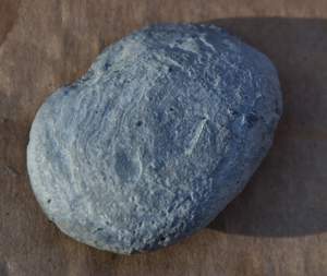 IMGP4124.jpg