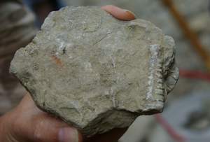 IMGP5060.jpg