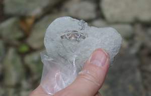 IMGP5075.jpg