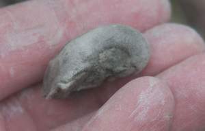IMGP5227.jpg